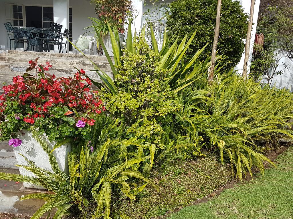 Green Park Manor Johannesburg Exterior photo